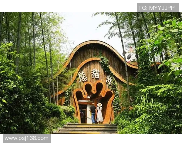 熊猫体育品牌故事：传承与创新的结合，塑造运动精神与文化的典范