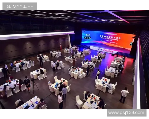 中欧市场准入新机遇与挑战分析：zoty的战略布局与发展前景