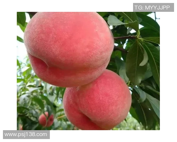 参与红桃国际幸运红桃抽奖活动赢取丰厚奖品的机会不容错过