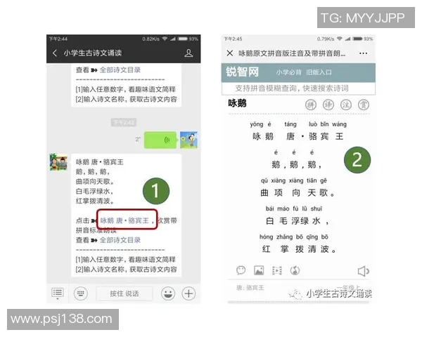 中国双色球开奖流程透明度提升助力公众信任与参与感增强 中国双色球开奖流程透明度提升助力公众信任与参与感增强